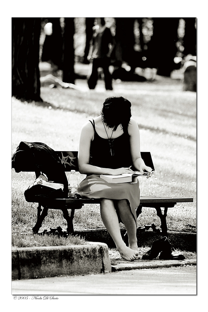 Pomeriggio di Lettura N 12