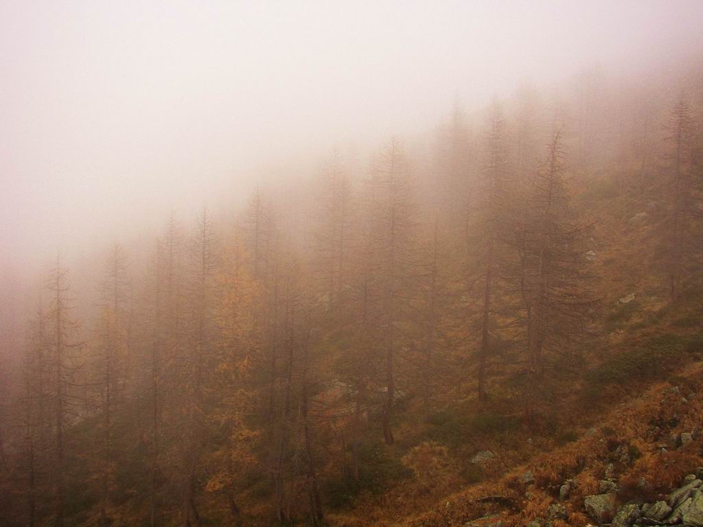 autunno