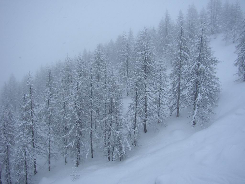 inverno