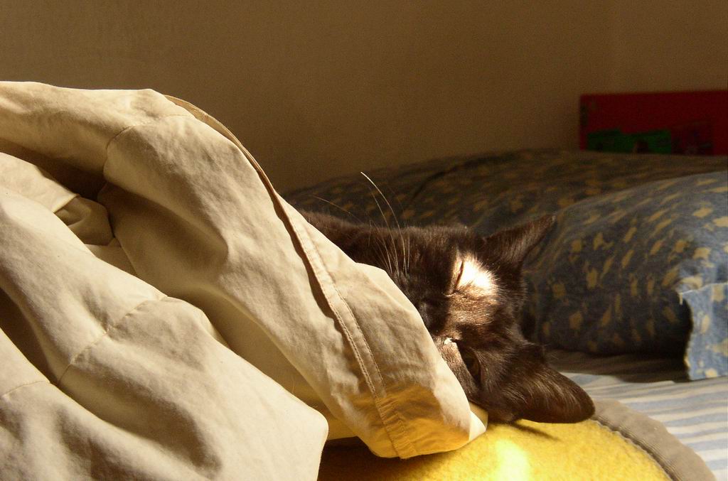 Buongiorno !!!