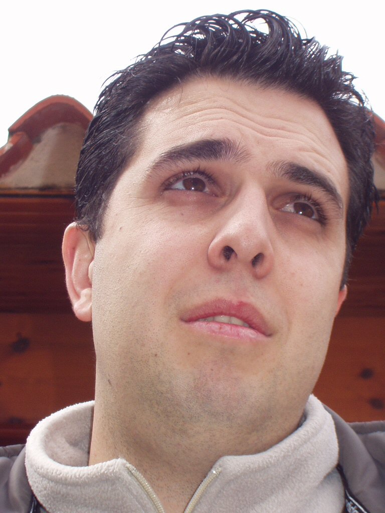Ste Dei