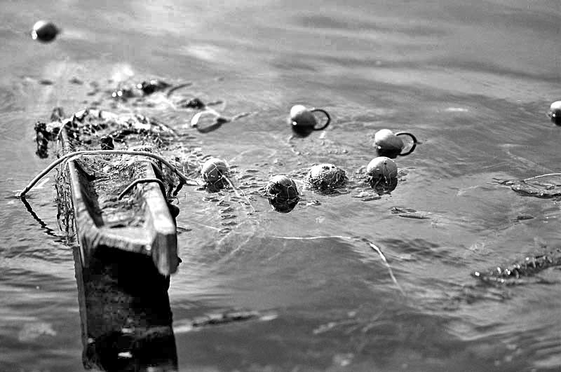 riflessi