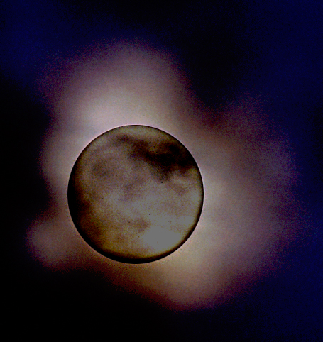 Luna