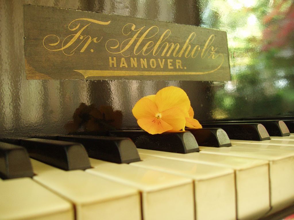 La dolcezza della musica