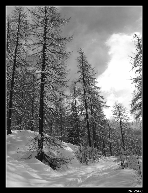 Neve