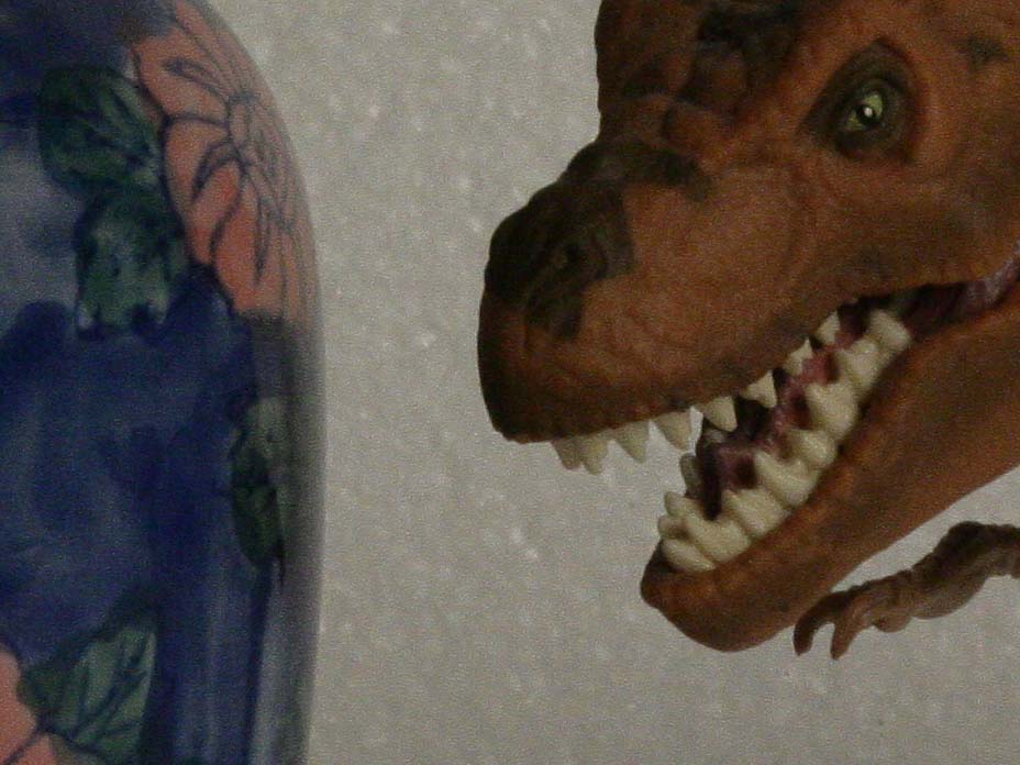 T rex dettettaglio a 1600 iso
