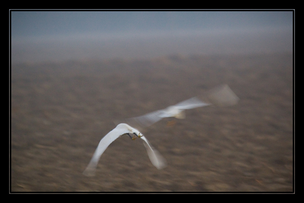 Volo Notturno