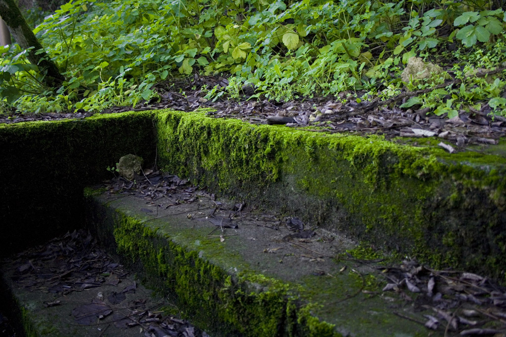 Stairs to heaven
