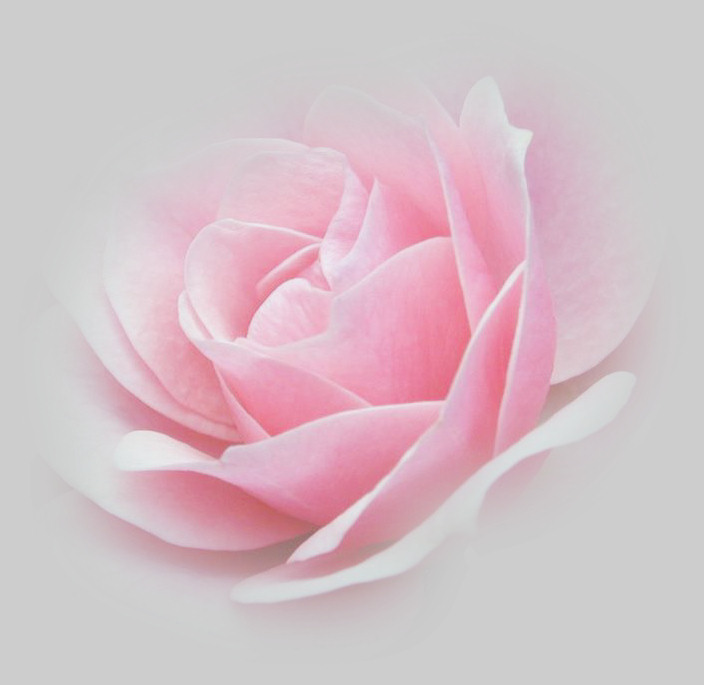 Prima elaborazione