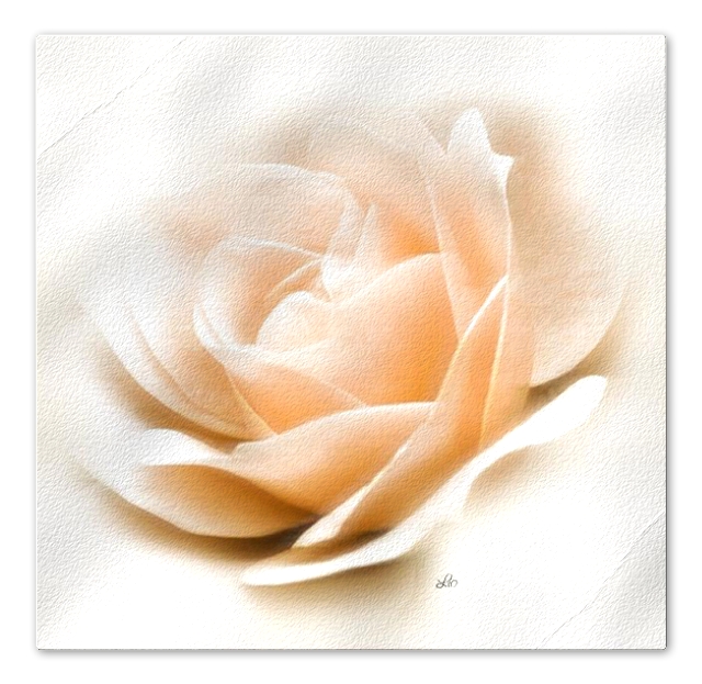3 elaborazione