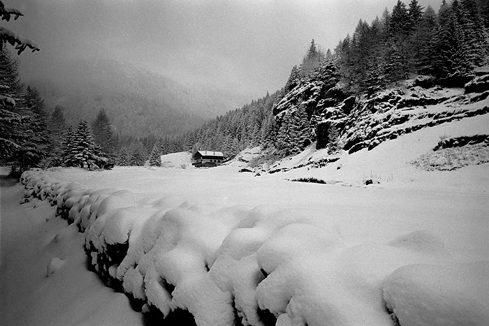 primavera in Valtellina 1