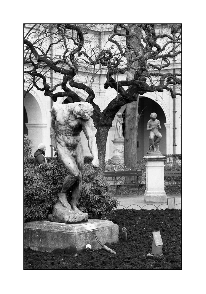 Museo di belle arti