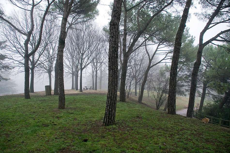 PARCO BUCCI_1
