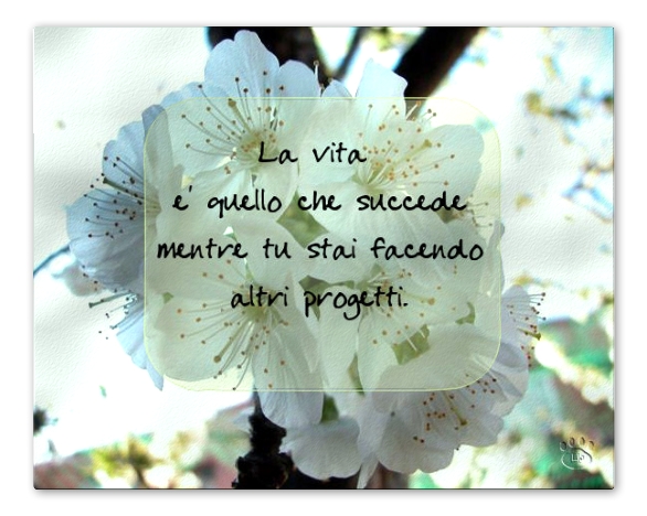 Altra elaborazione