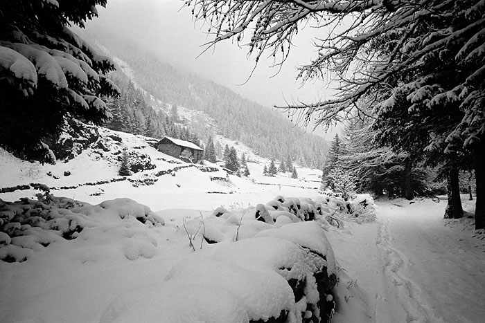 primavera in Valtellina 3