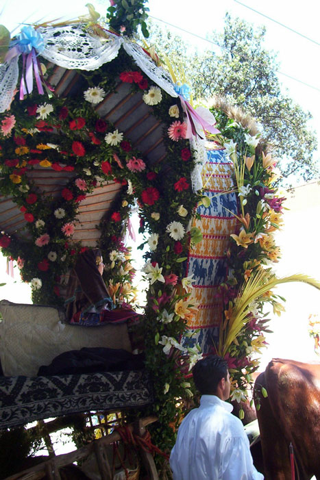 tracca (particolare)