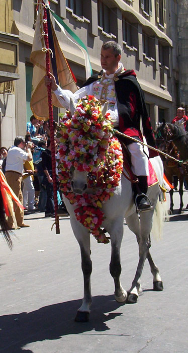 cuaddu bardau