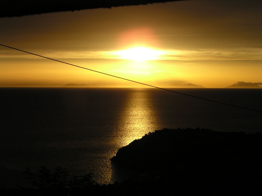 tram2