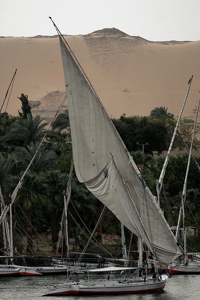 Barca ad Aswan