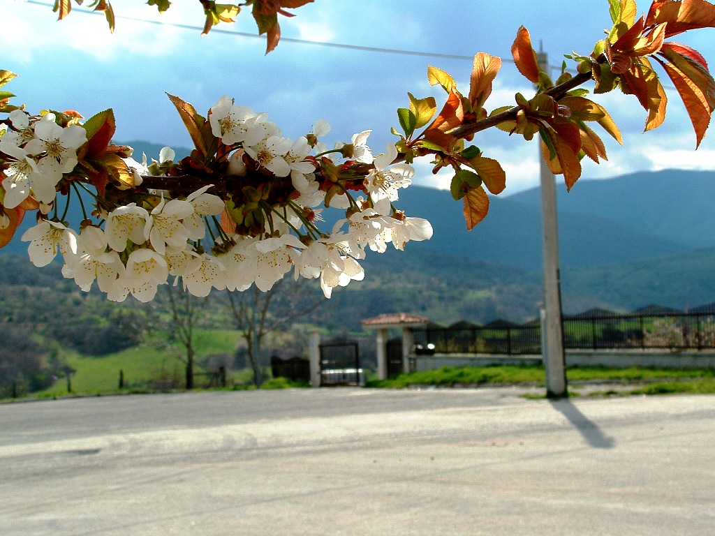 RDB TOUR 05 - abruzzo - 071