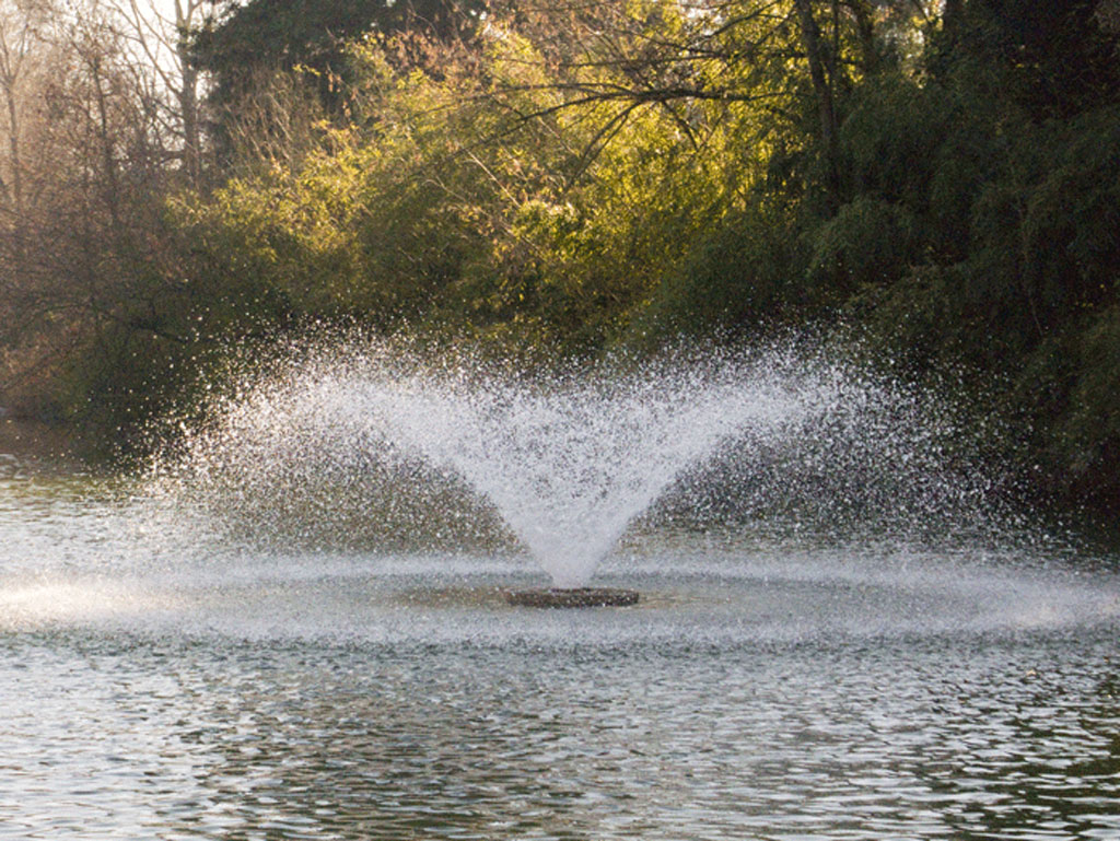 Fontana