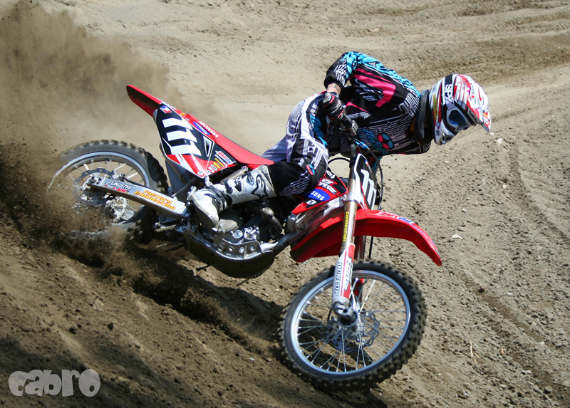 Curva MX