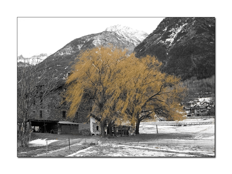 Bagliori d'inverno