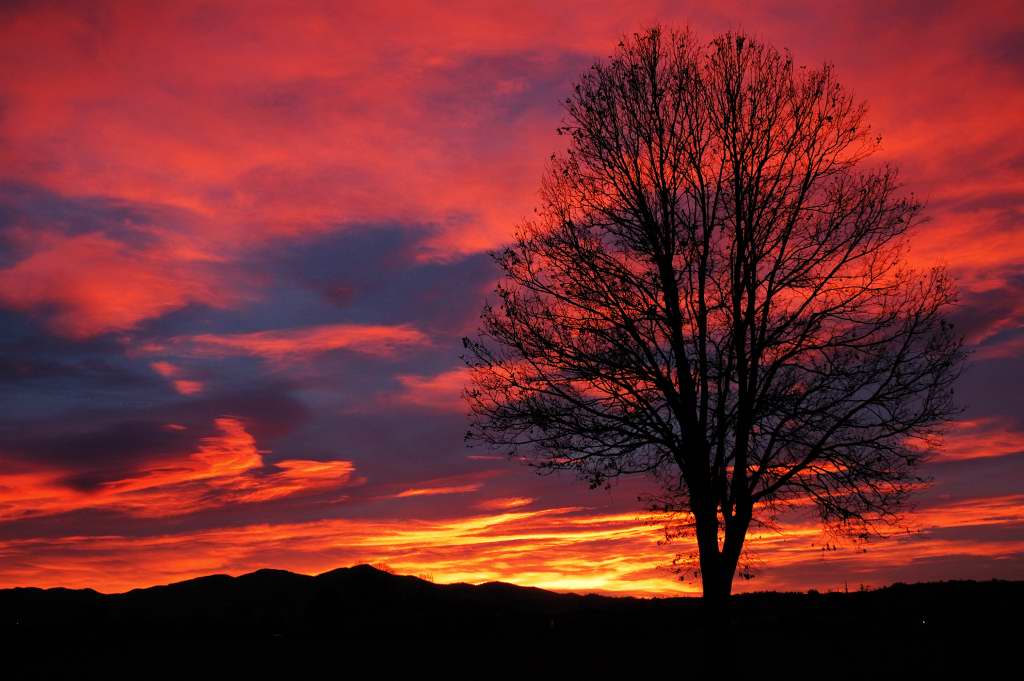 tramonto