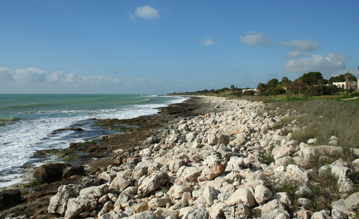 panoramica