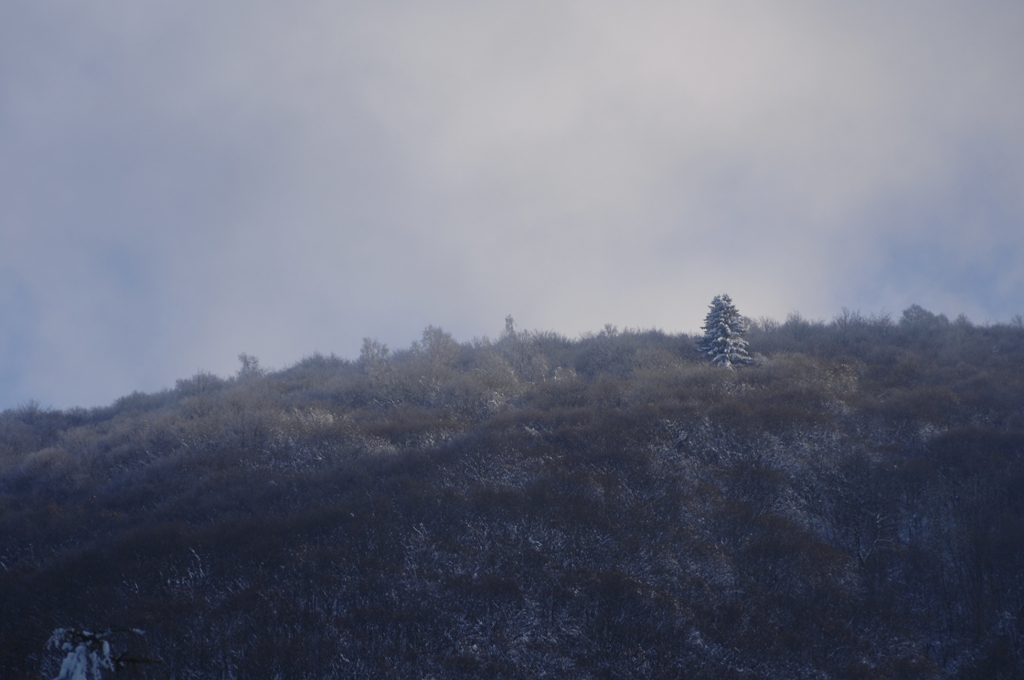 snow