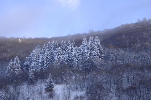 snow