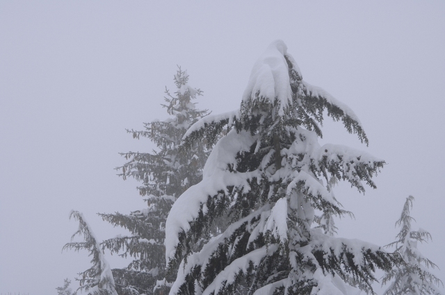 snow