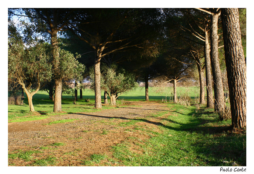 ...al prato