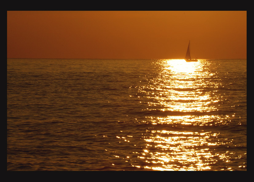 La barca v