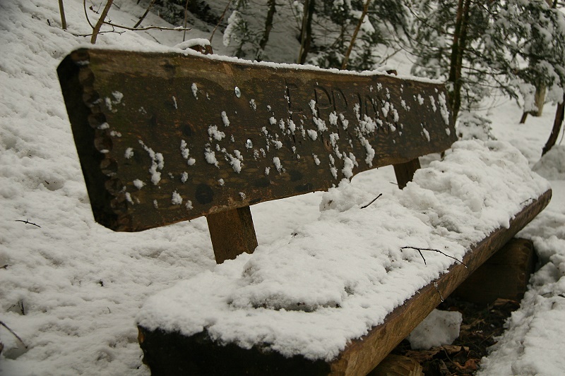 Val Zoldana