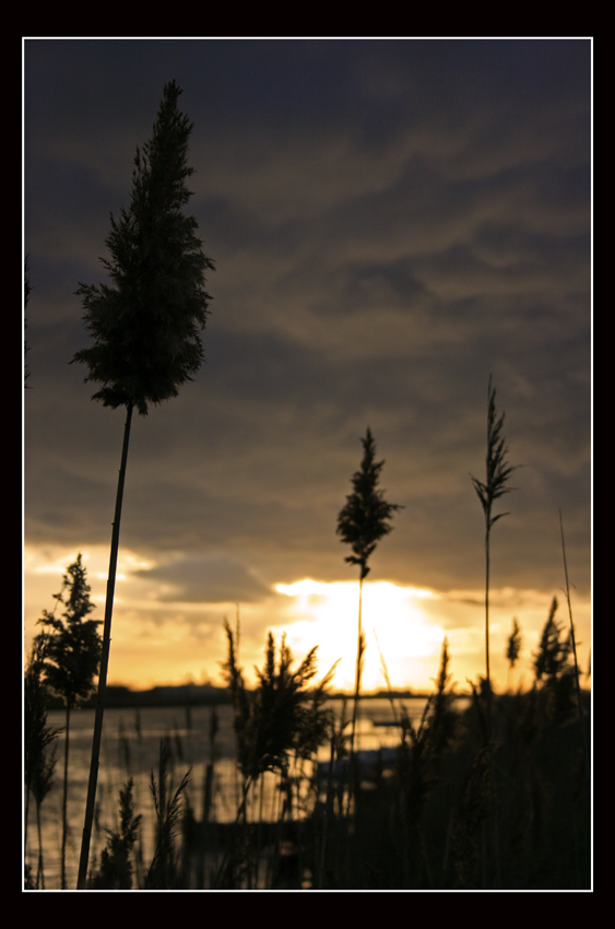 Tranquillo tramonto
