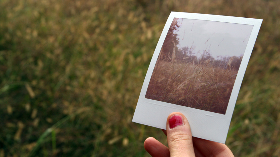 pola