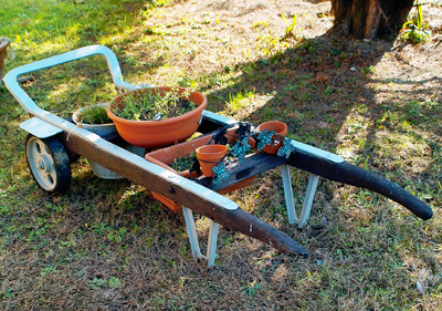 carrello