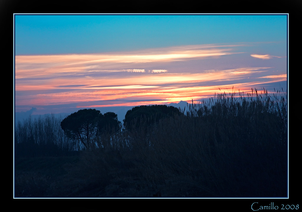 Tramonto in pineta