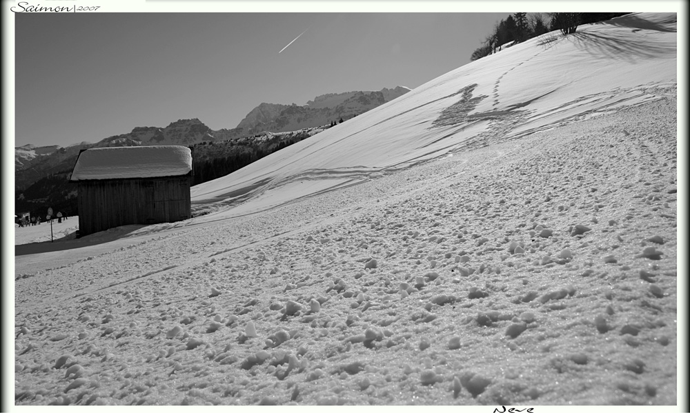 Neve