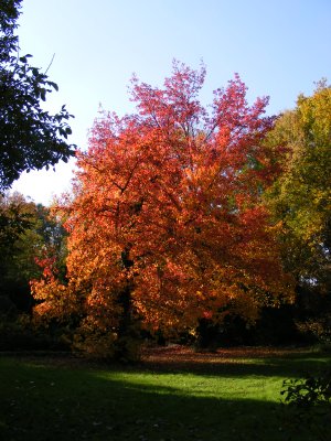 Autunno