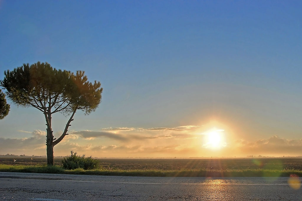 Alba a Ravenna