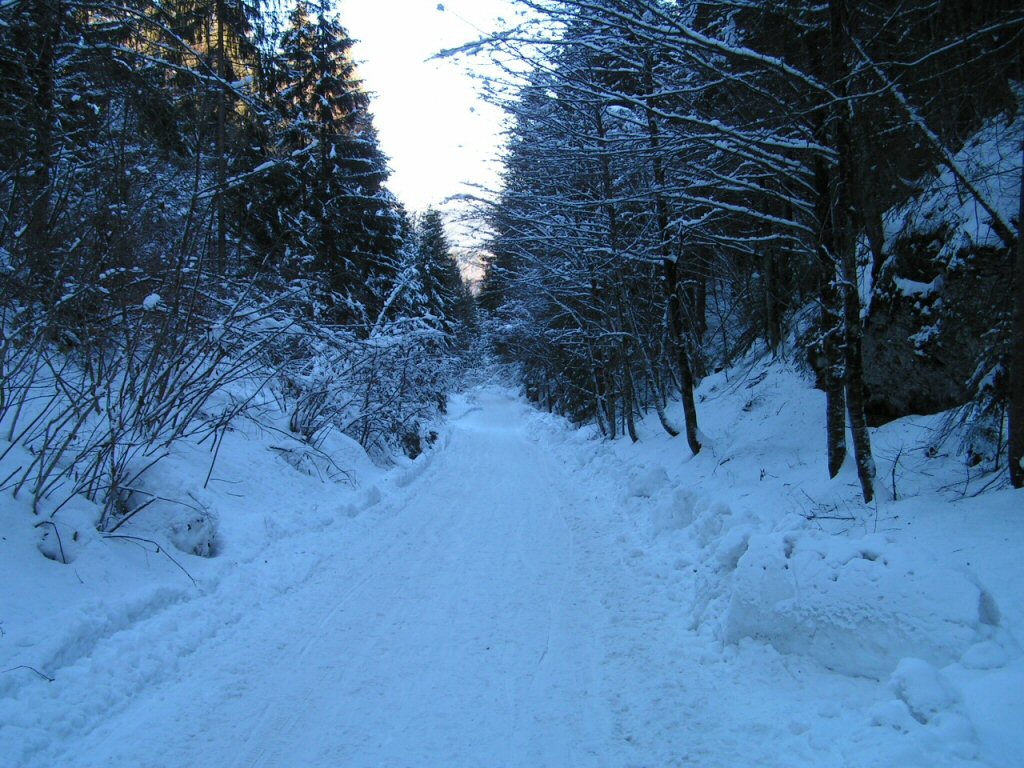 In montagna