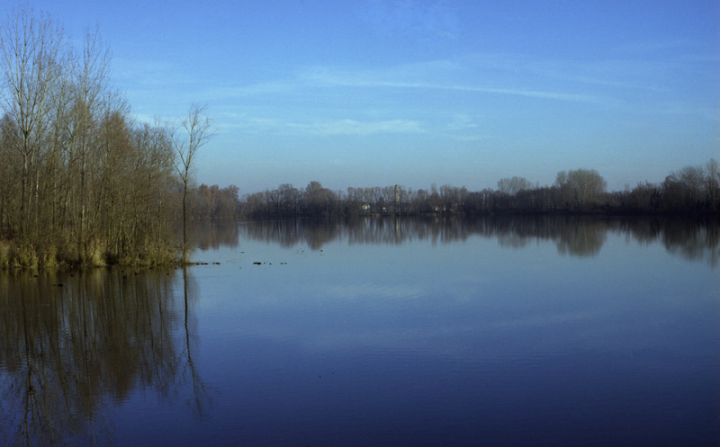 Mirror-water II