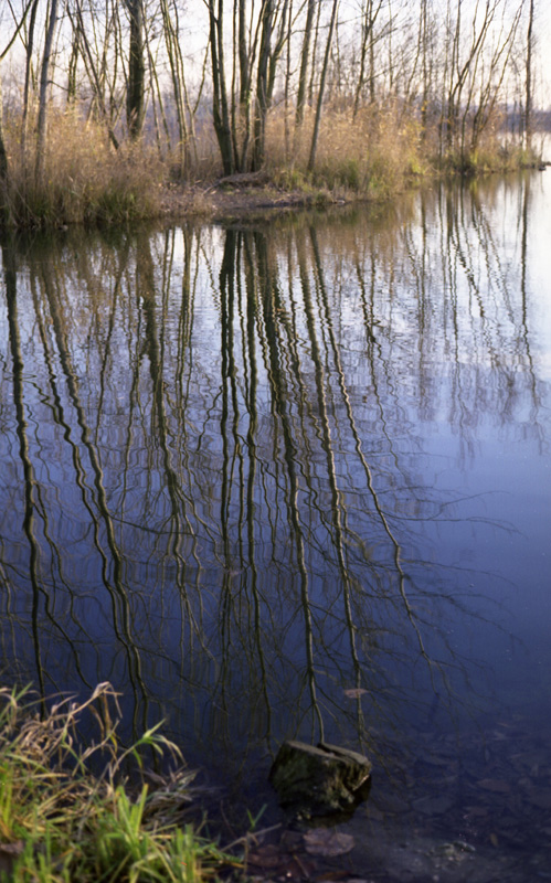 Mirror-water III