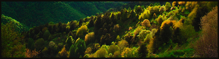 AUTUNNO