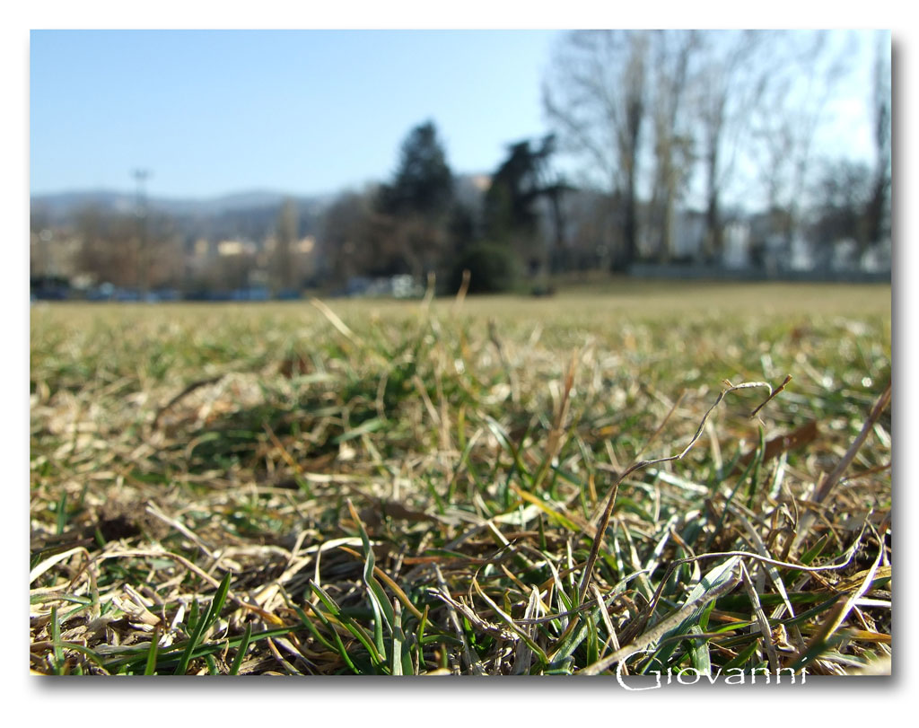 Parco del Valentino