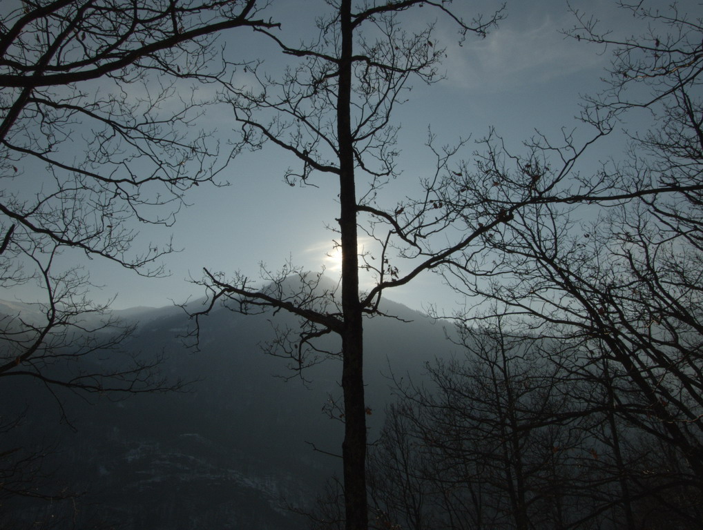 Controluce