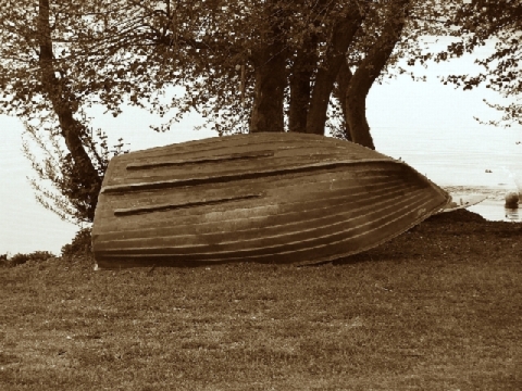 Barcone