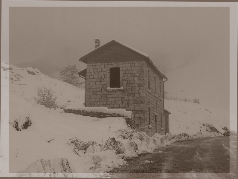 Nella neve